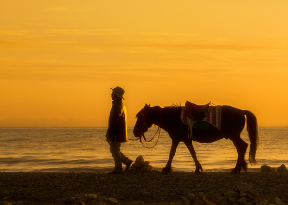 1737946583482032224.png 2.png